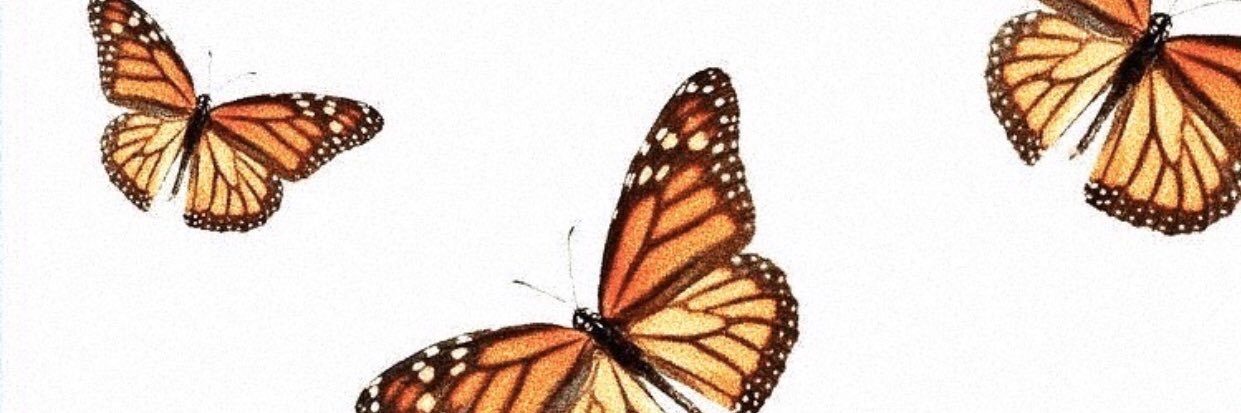 lizzy_zeck's profile banner image