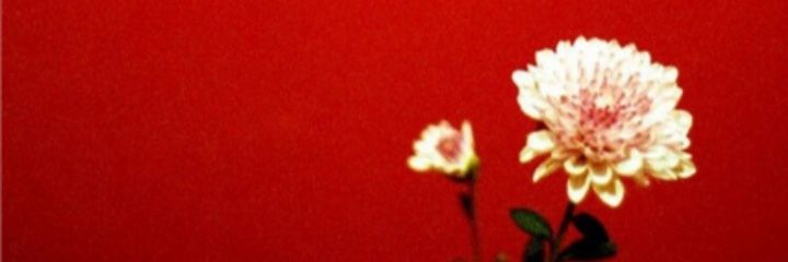 ColtenRayy's profile banner image