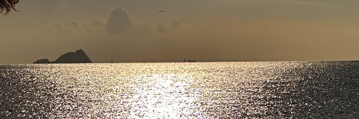 simlatay's profile banner image
