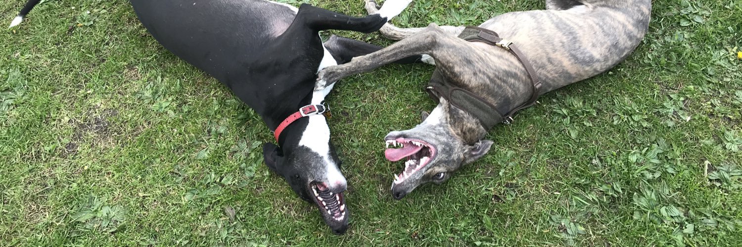 Greyhound Literary banner