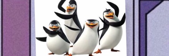 fredgbrito11's profile banner image