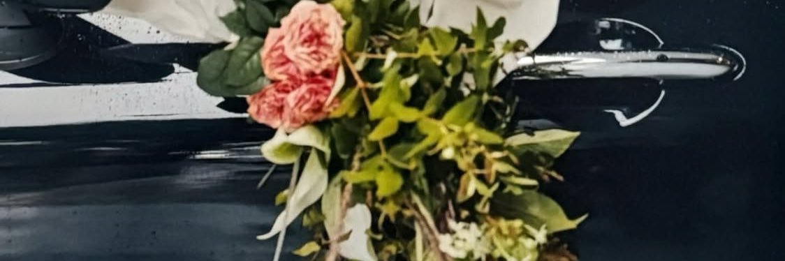 notthi23's profile banner image