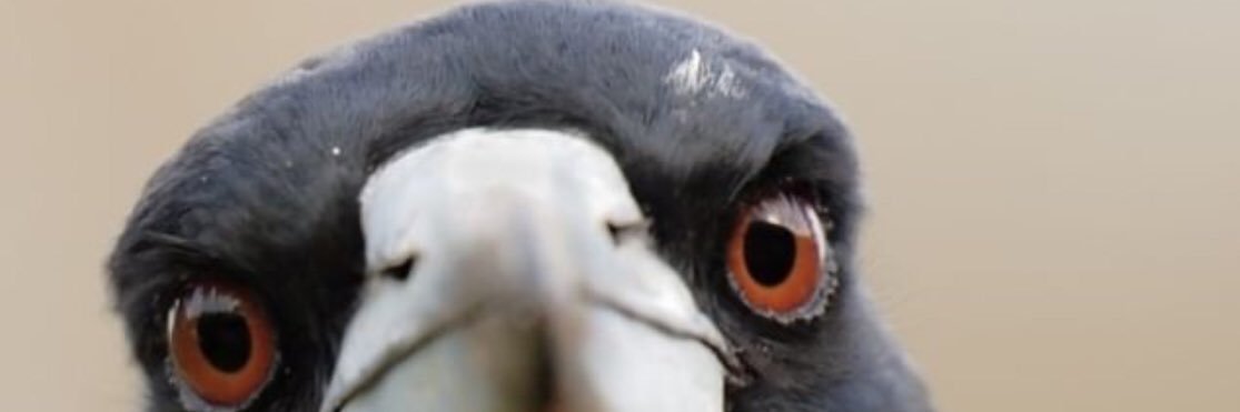 MarenSmith's profile banner image