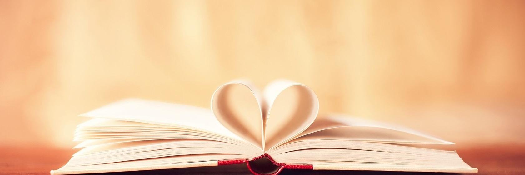 Katelyn Borch banner