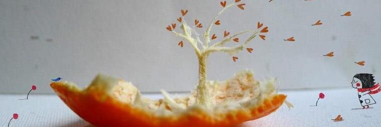 Jesús Camarillo G.📚✏🖋🎸🚴🚵☕🐈 banner