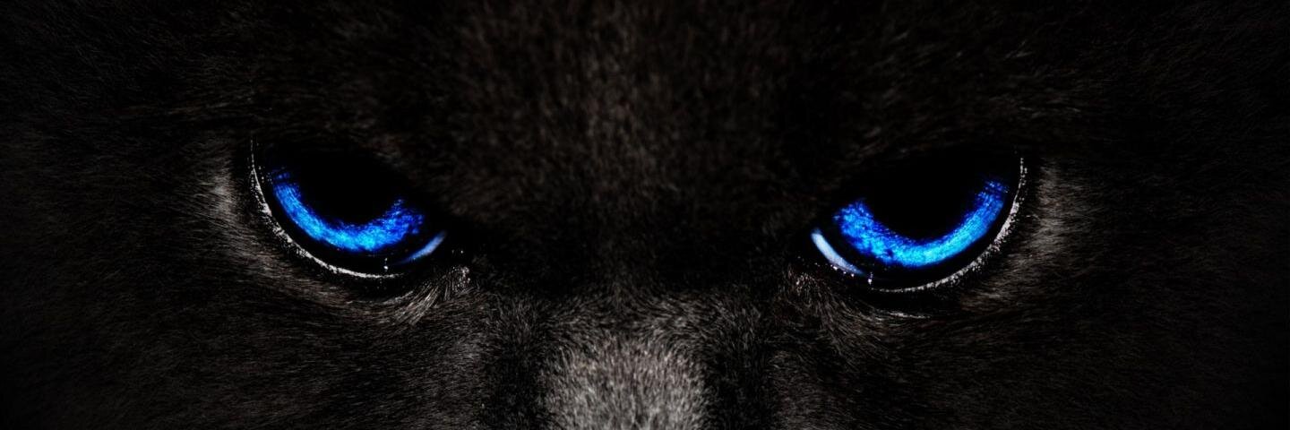 Kryptonist's profile banner image