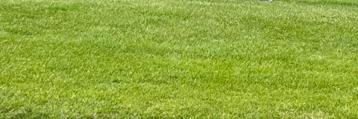 FPL_Thinkerman's profile banner image