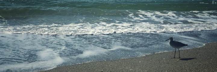 Kathleenwrites's profile banner image