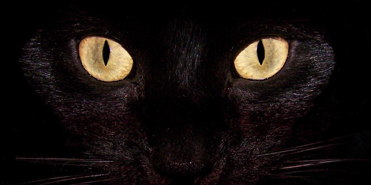 pnky31's profile banner image