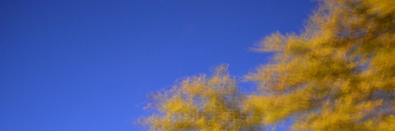 sebasdeckers's profile banner image