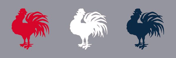 MsChookiChikki Profile Banner