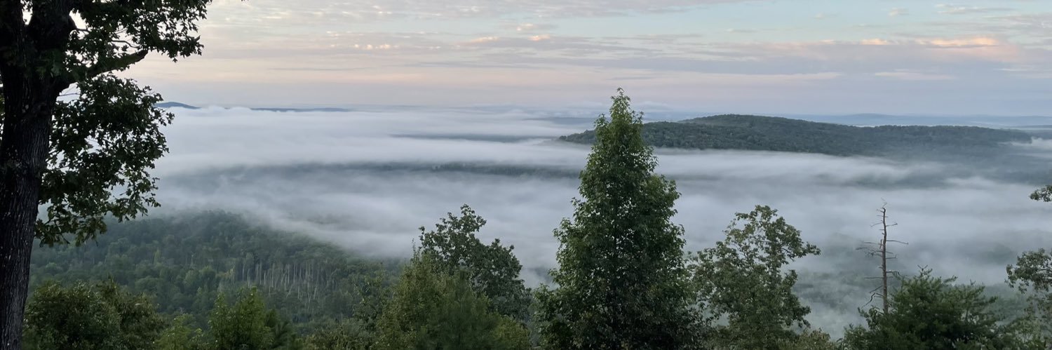 Kelly Robinson banner