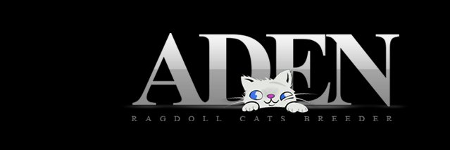 adenragdoll's profile banner image