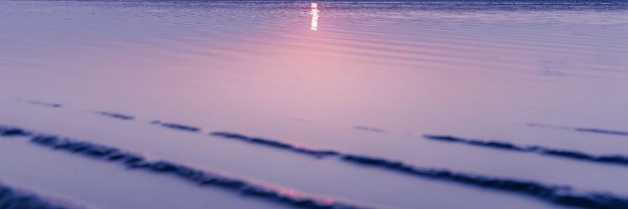 の banner