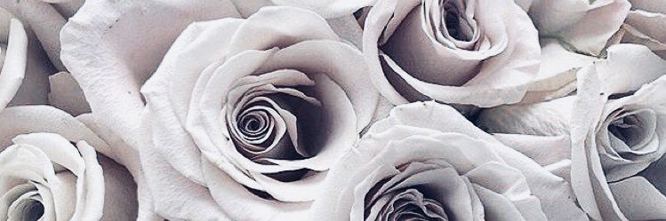 Sameira__'s profile banner image