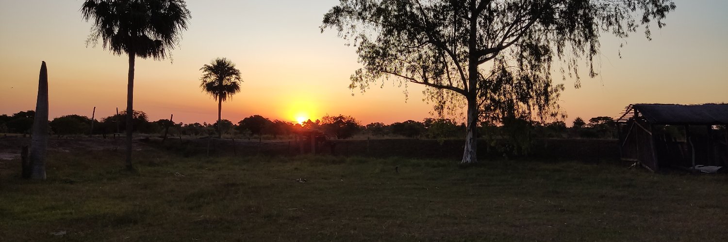 gusrojas_py's profile banner image