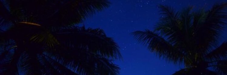 DaiHelgenberger's profile banner image