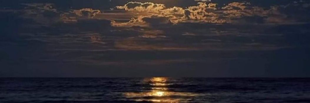 Victor Manuel Torres ♈︎ banner