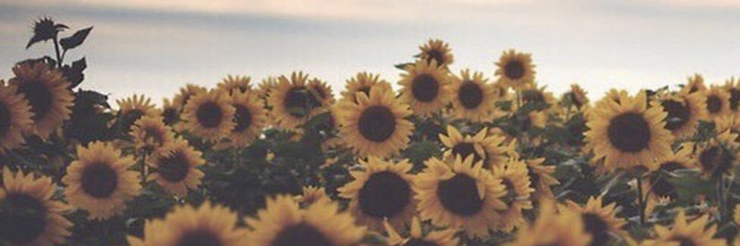 genesisnababan's profile banner image