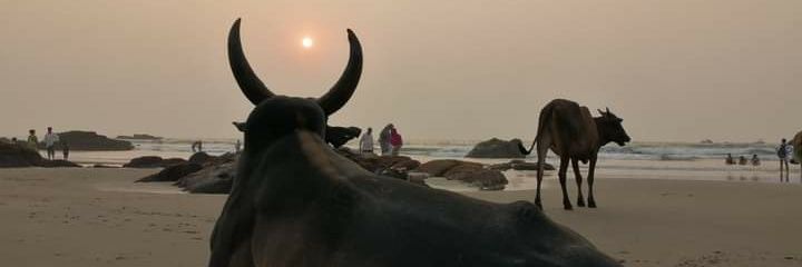 PChettan's profile banner image