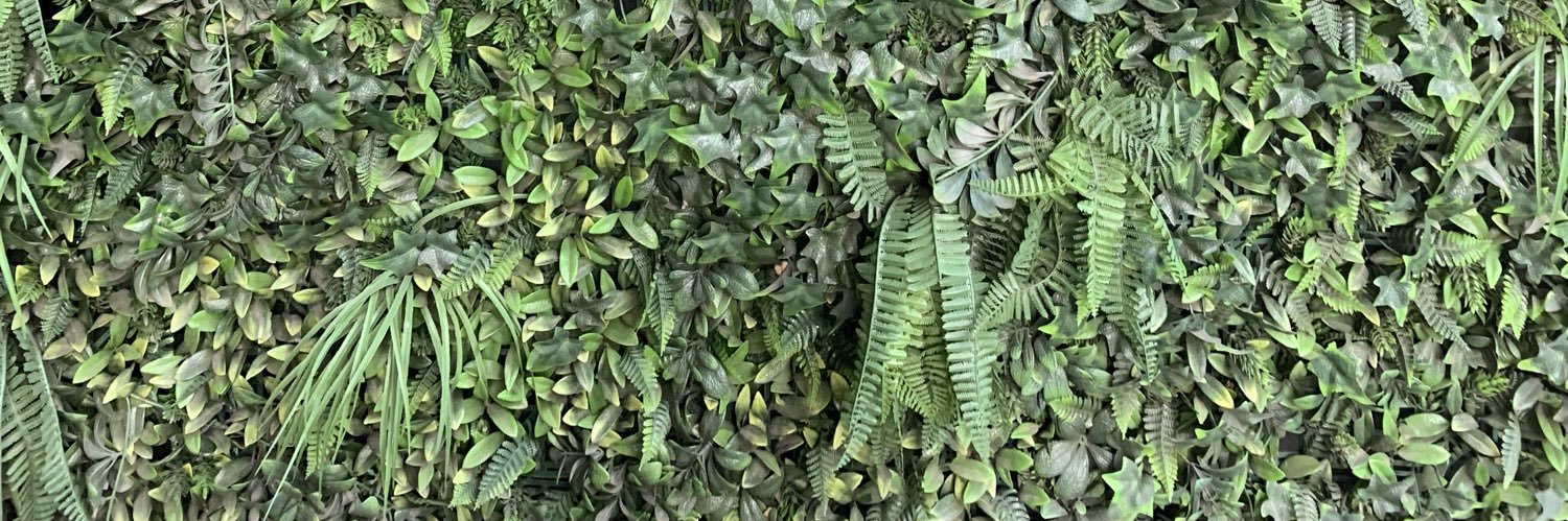 chellsom's profile banner image