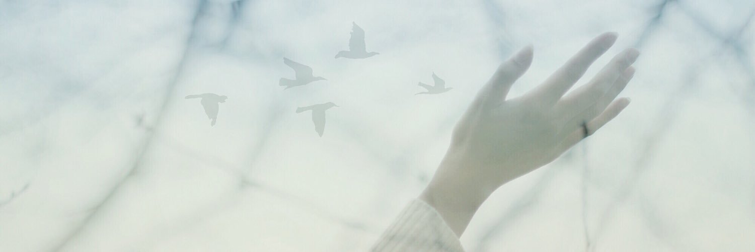 7marc31's profile banner image