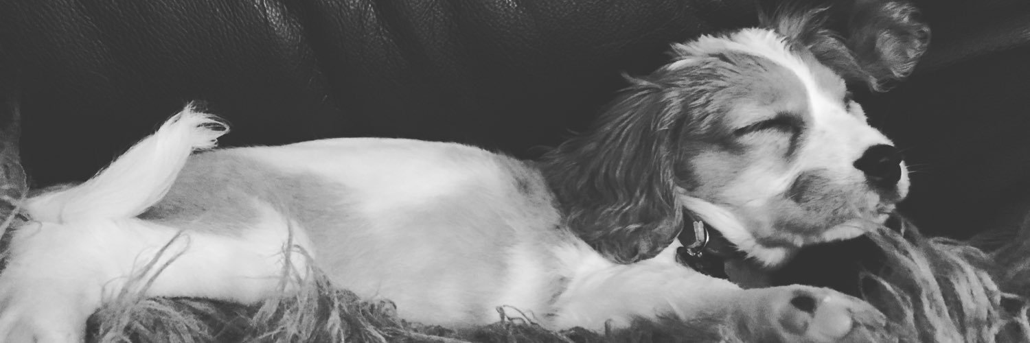 jessgarside95's profile banner image