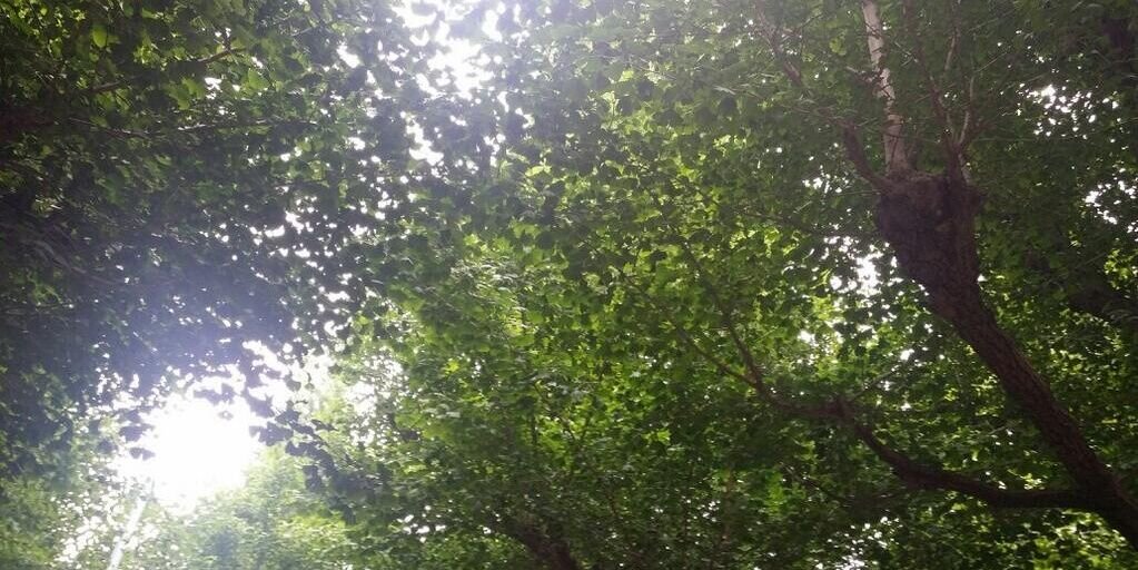 조윤희,IT,SNS,스마트,Prezi banner