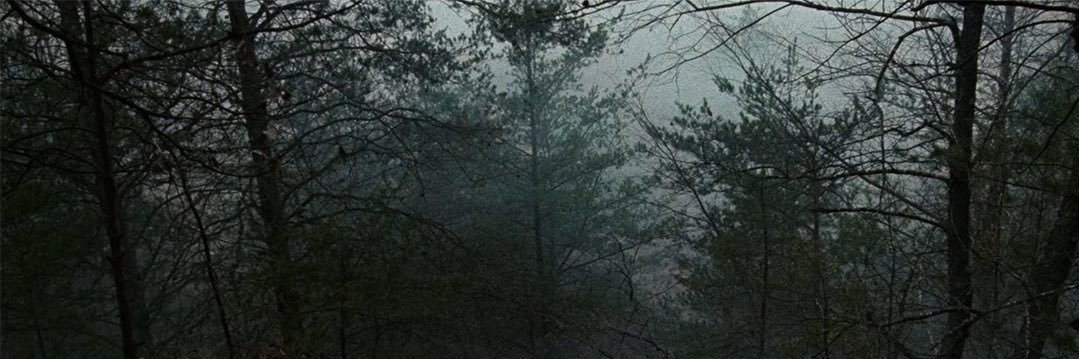 C4PRICORNIAA's profile banner image