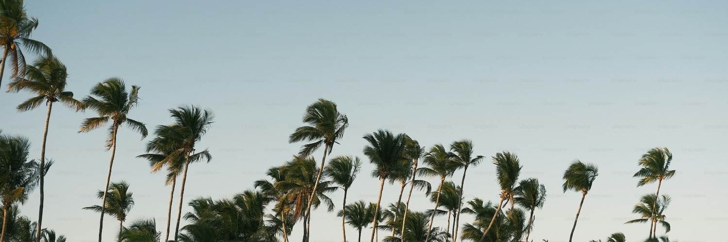 kxevol's profile banner image