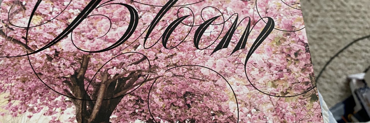 DaisyNBo's profile banner image