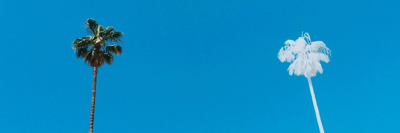 _lkvalerio's profile banner image