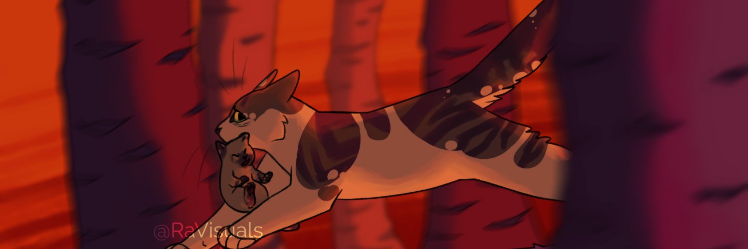 RaVisuals's profile banner image