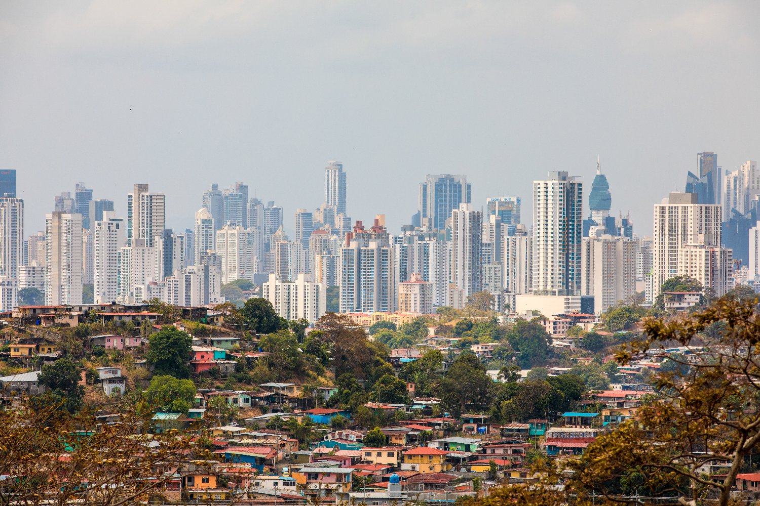 UNDP Sustainable Finance's banner