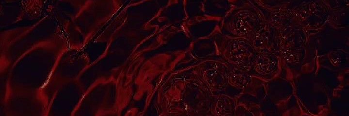whatnayedid's profile banner image