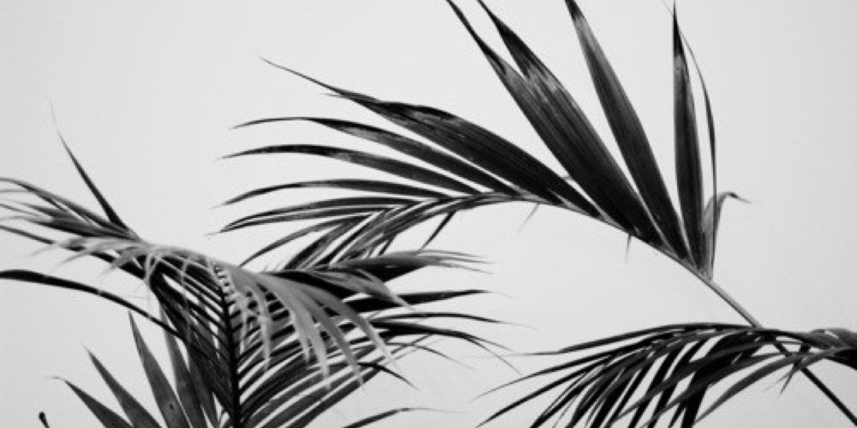 KaysonRPGABT2's profile banner image