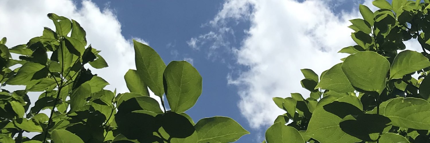 tajigen's profile banner image