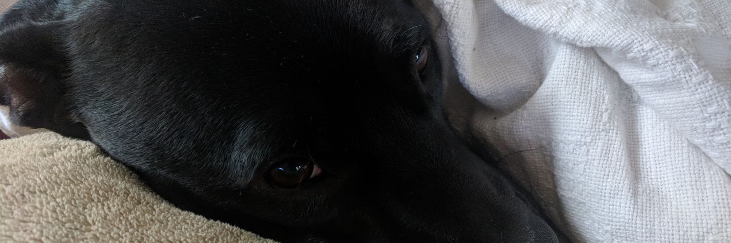 myllertym's profile banner image