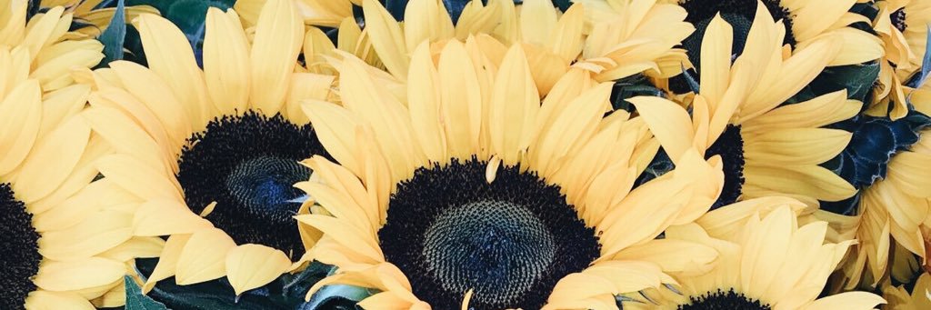 chandellelyn's profile banner image