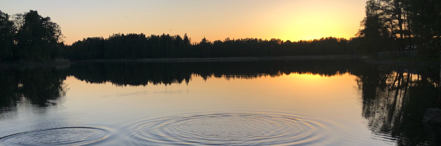 Dr Satu Baylan 🧠🎼 banner