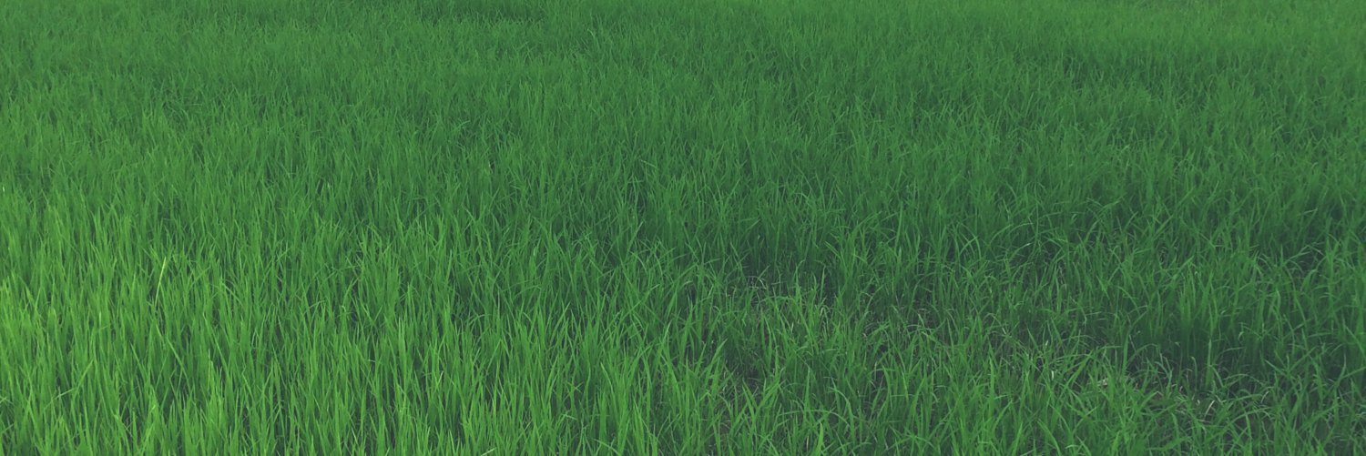 kasdapron's profile banner image