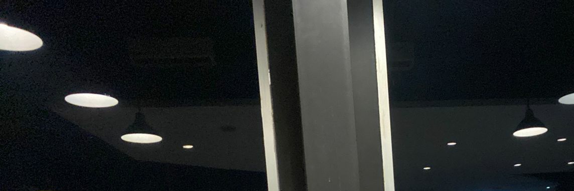 Kitty Song Covey banner