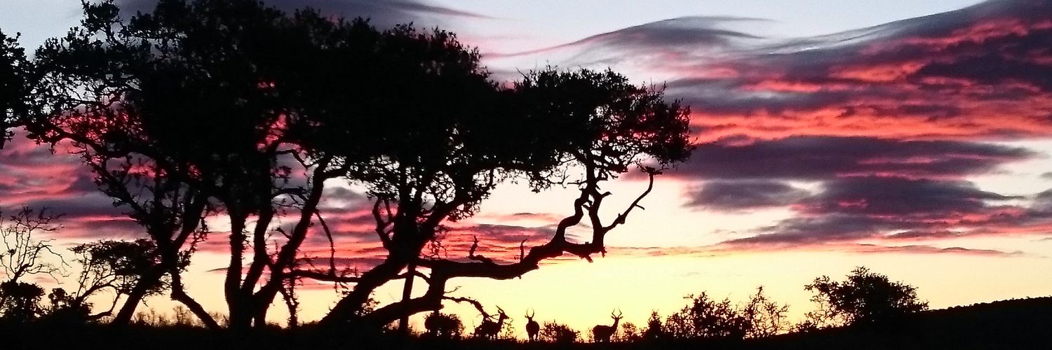 Proventurer's profile banner image