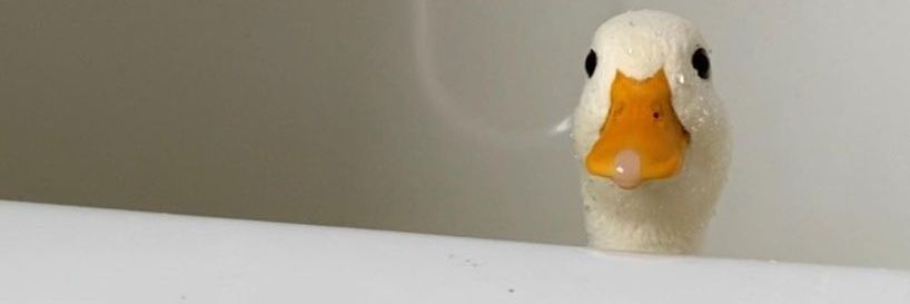 bryanmarie27's profile banner image