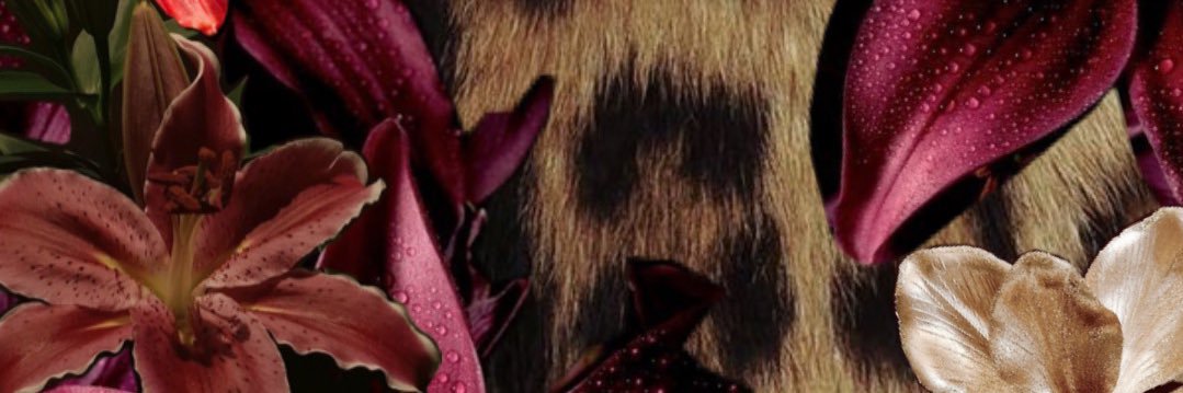 aaaaaaaoeo's profile banner image