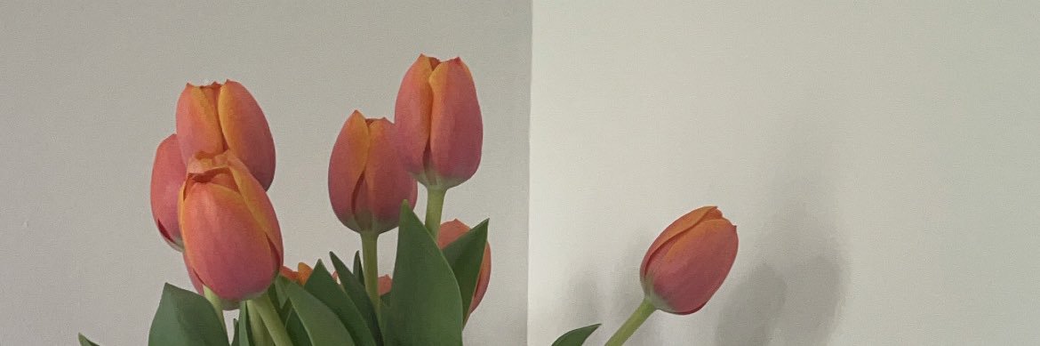 peachy_please's profile banner image