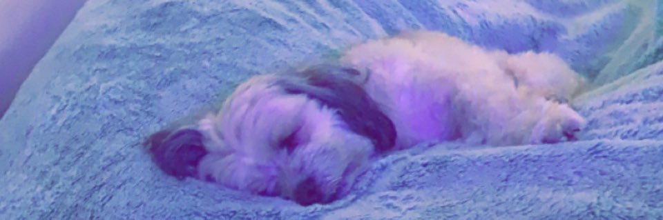 lukeperronee's profile banner image