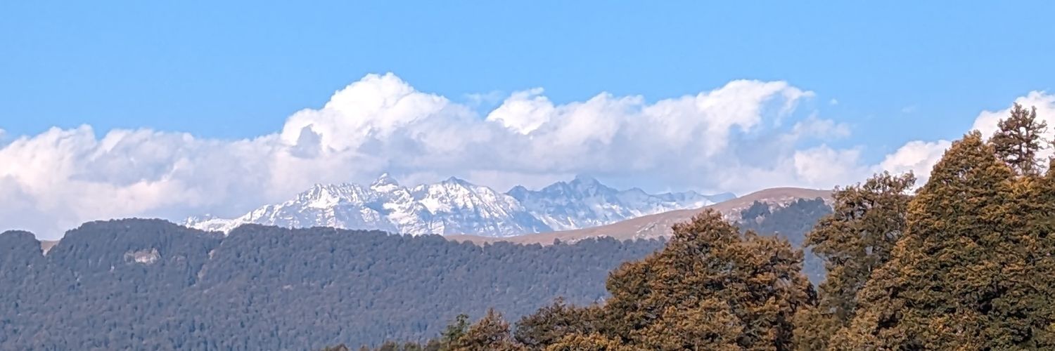 fobu's profile banner image