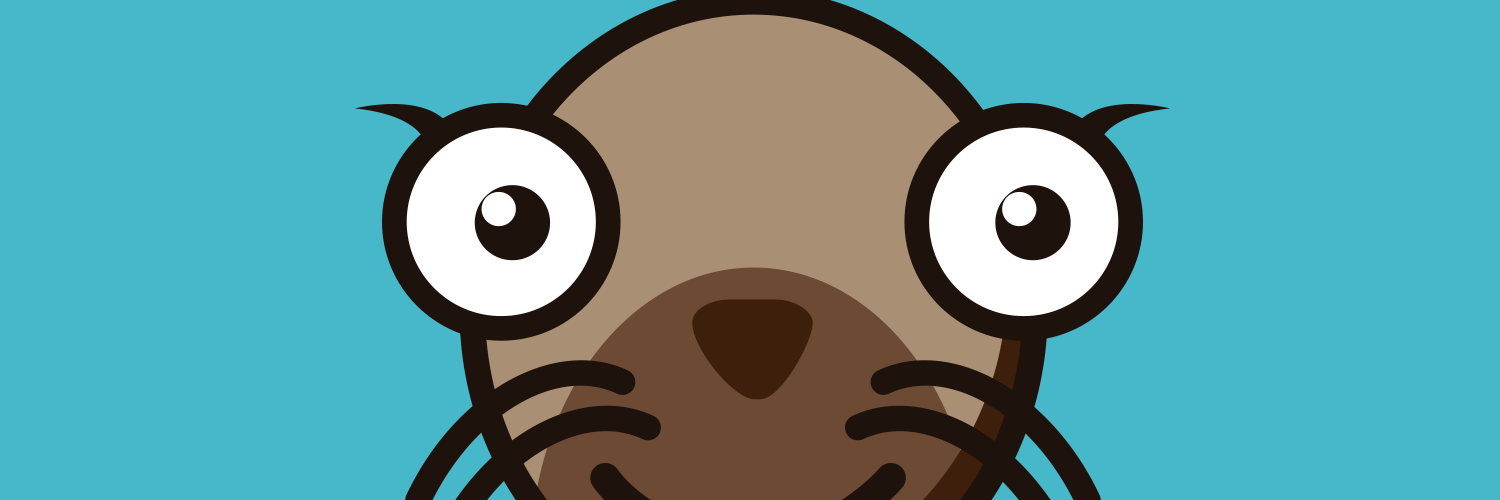 minecocheaapp's profile banner image