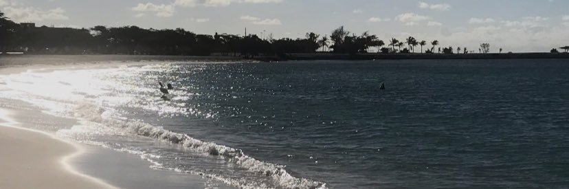 ohboyitscrazy's profile banner image